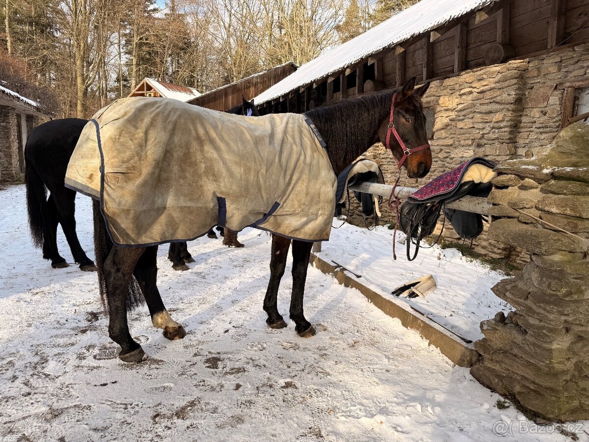 Bucas power 150g 145cm - 3