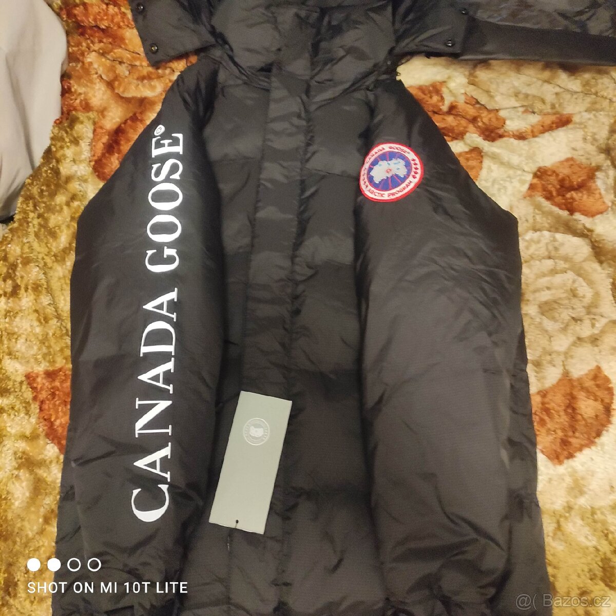 Canada goose - 3