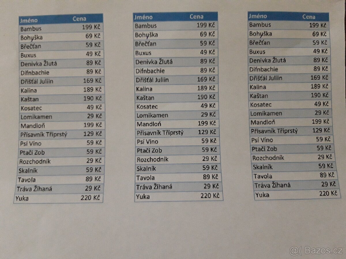 Sazenice různé - 3