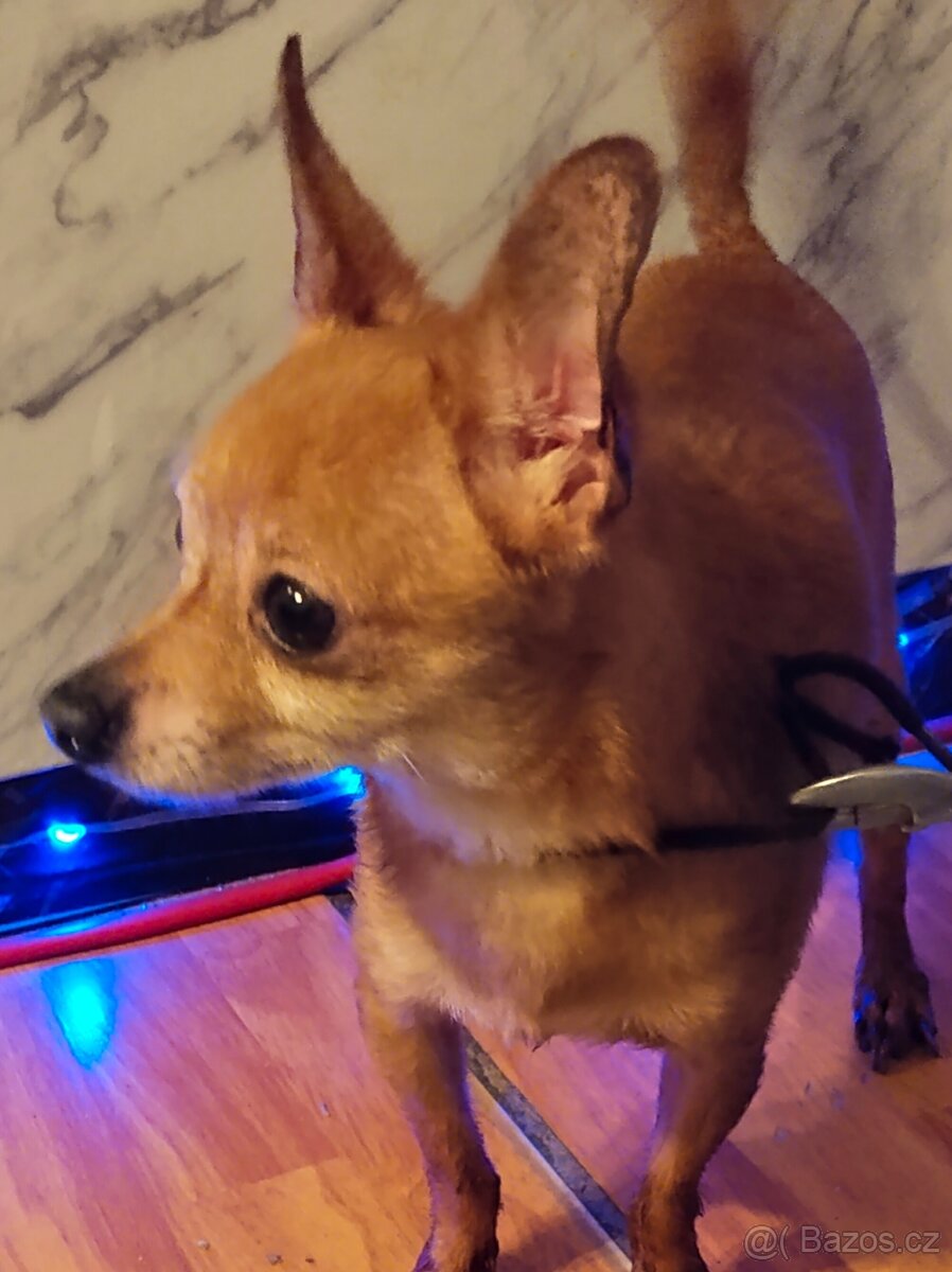 Pražský krisařík - 3