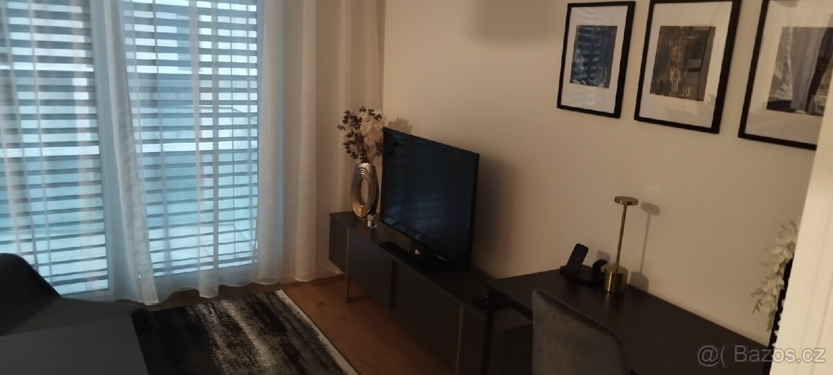 Pronajmu nový, zařízený byt 1kk 42m s terasou - Hagibor - 3