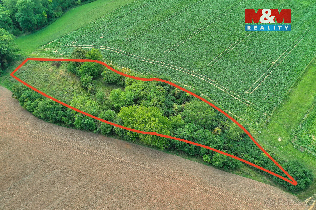 Prodej lesa, 1302 m², Velké Všelisy - 3