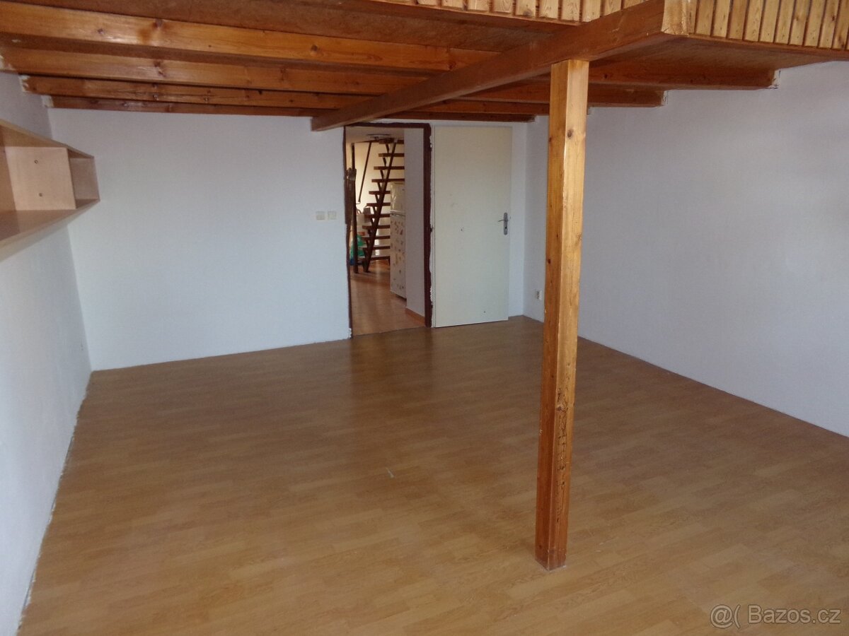 Pronájem bytu 1+1, Podnásepní, 75m2 - 3