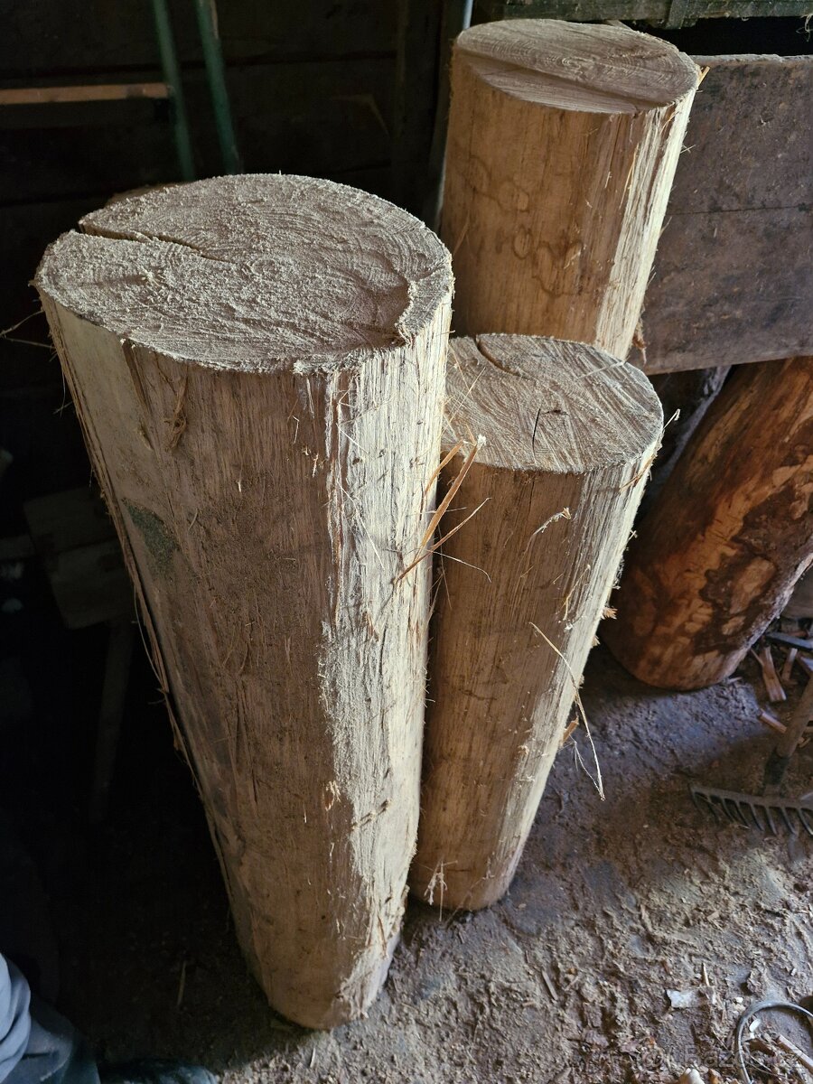 Lipa dřevo pro řezbaře - 3