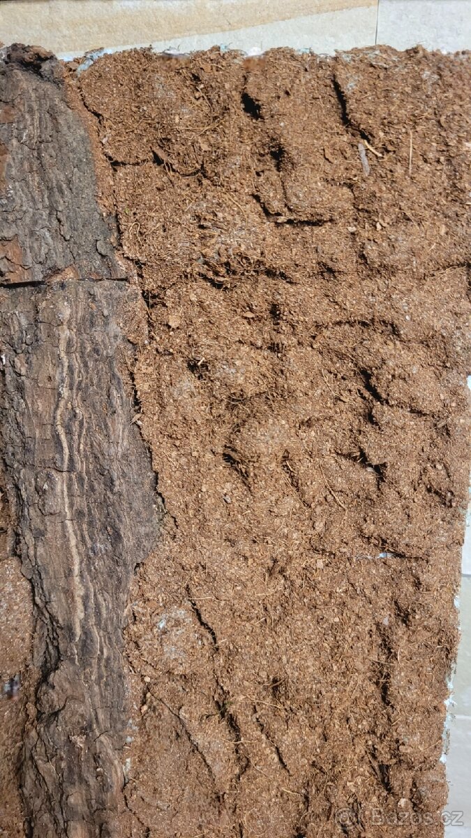 Pozadí do terária - 3