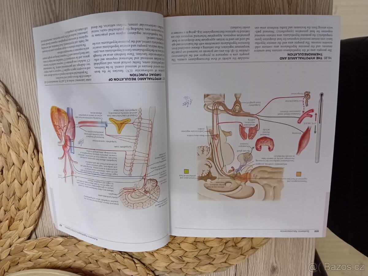 Netter's atlas of neuroscience 4th edition - Felten, neuroa - 3