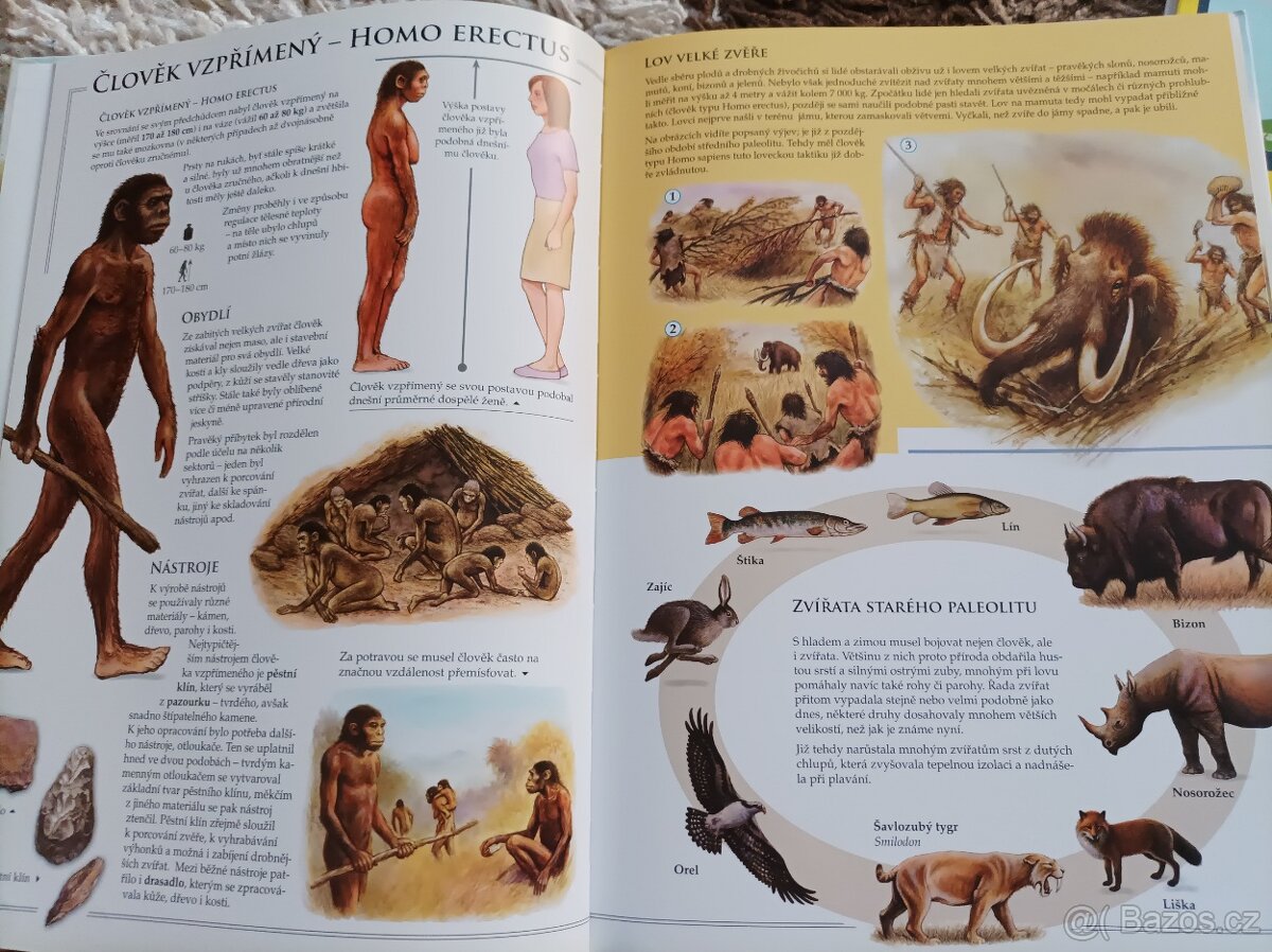 Jak se žilo v pravěku - 3