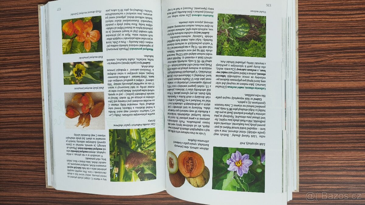 Co rostlo u babičky na zahradě - Tradiční odrůdy: Jan Novák - 3