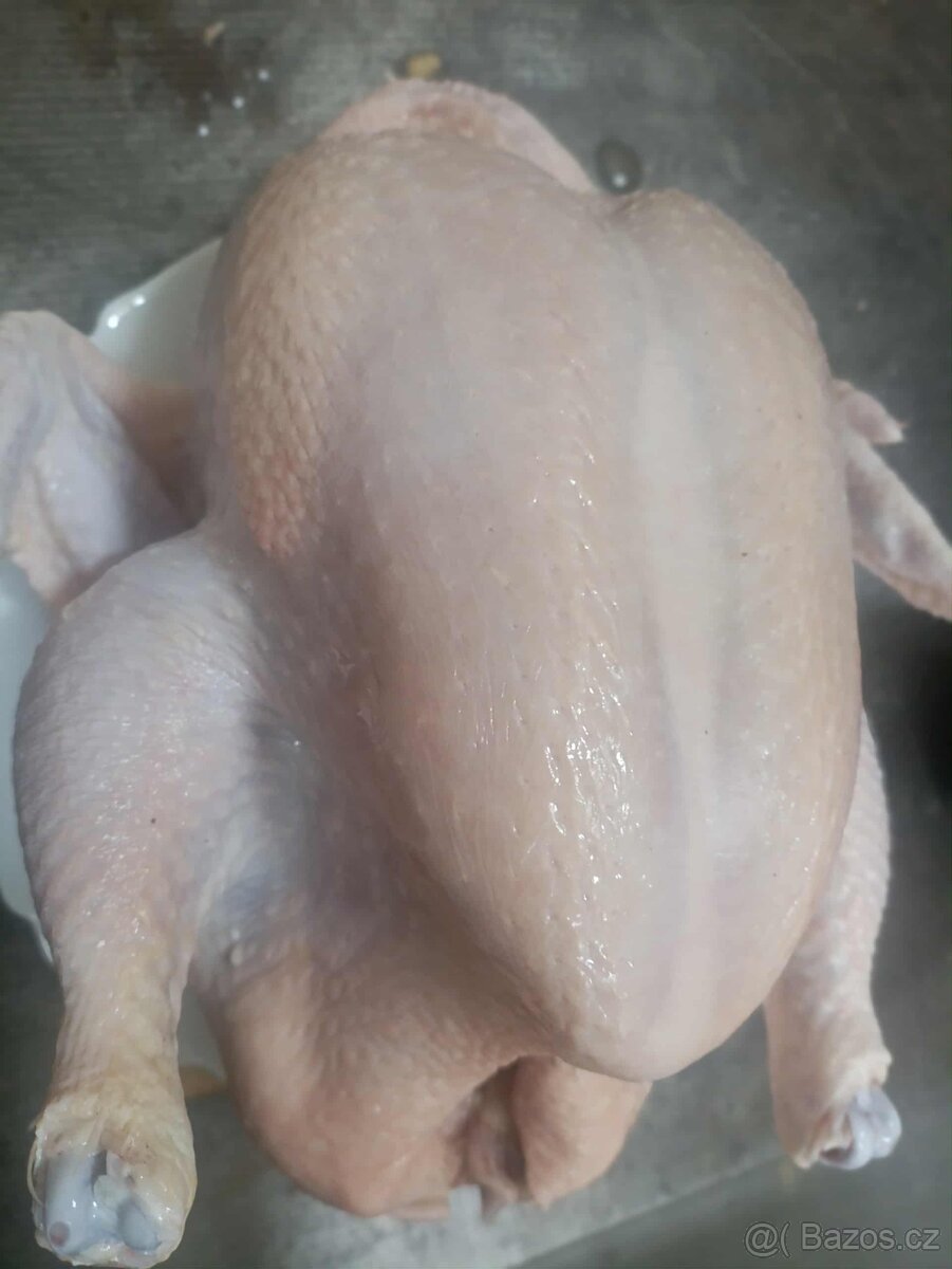 Kuře v kuchyňské přípravě - 3