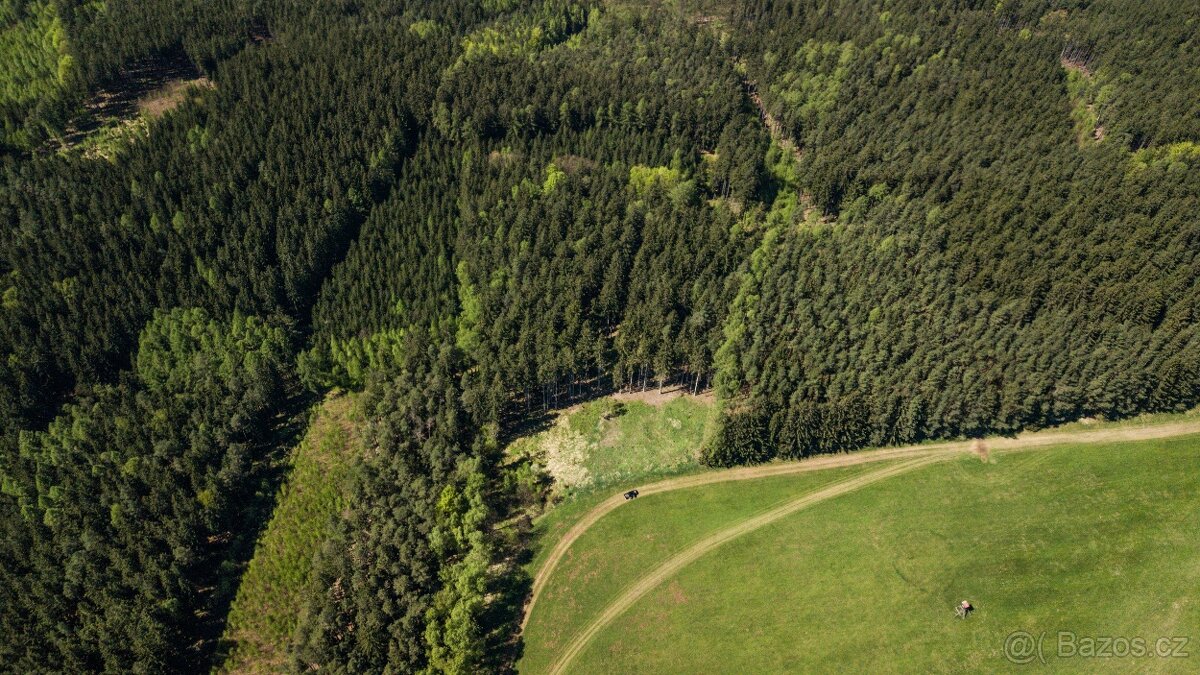 Prodej lesa 20336 m² – Heřmánkovice - 3
