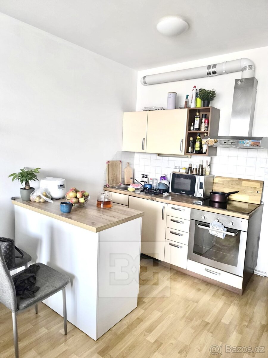 Prodej krásného bytu 1+kk/B, Nová Harfa, ul. Podkovářská - 3