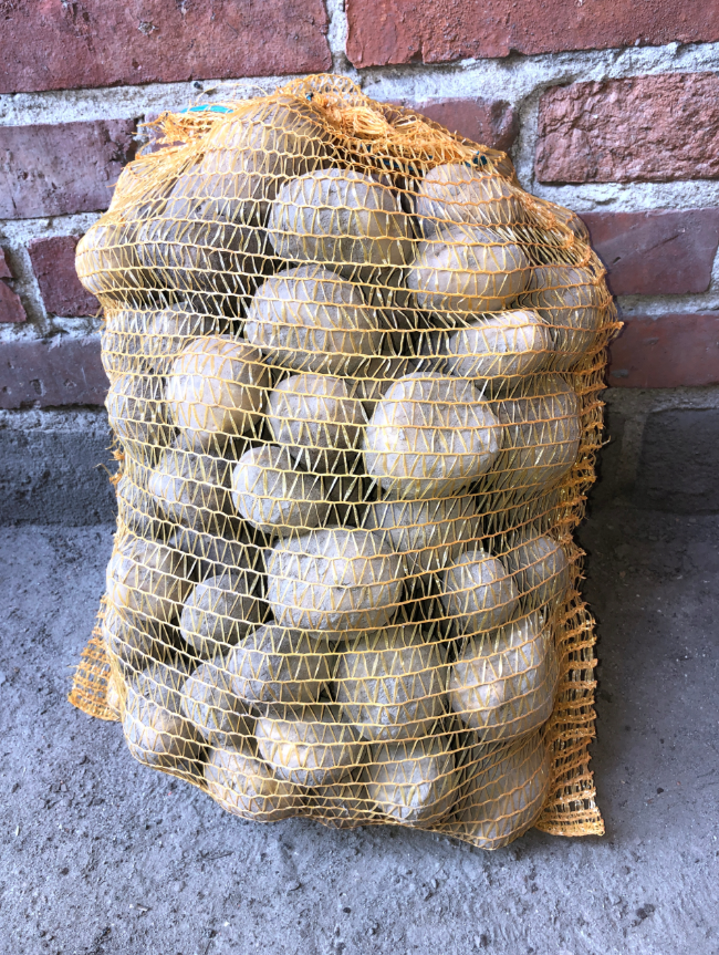 Brambory na uskladeni - 3