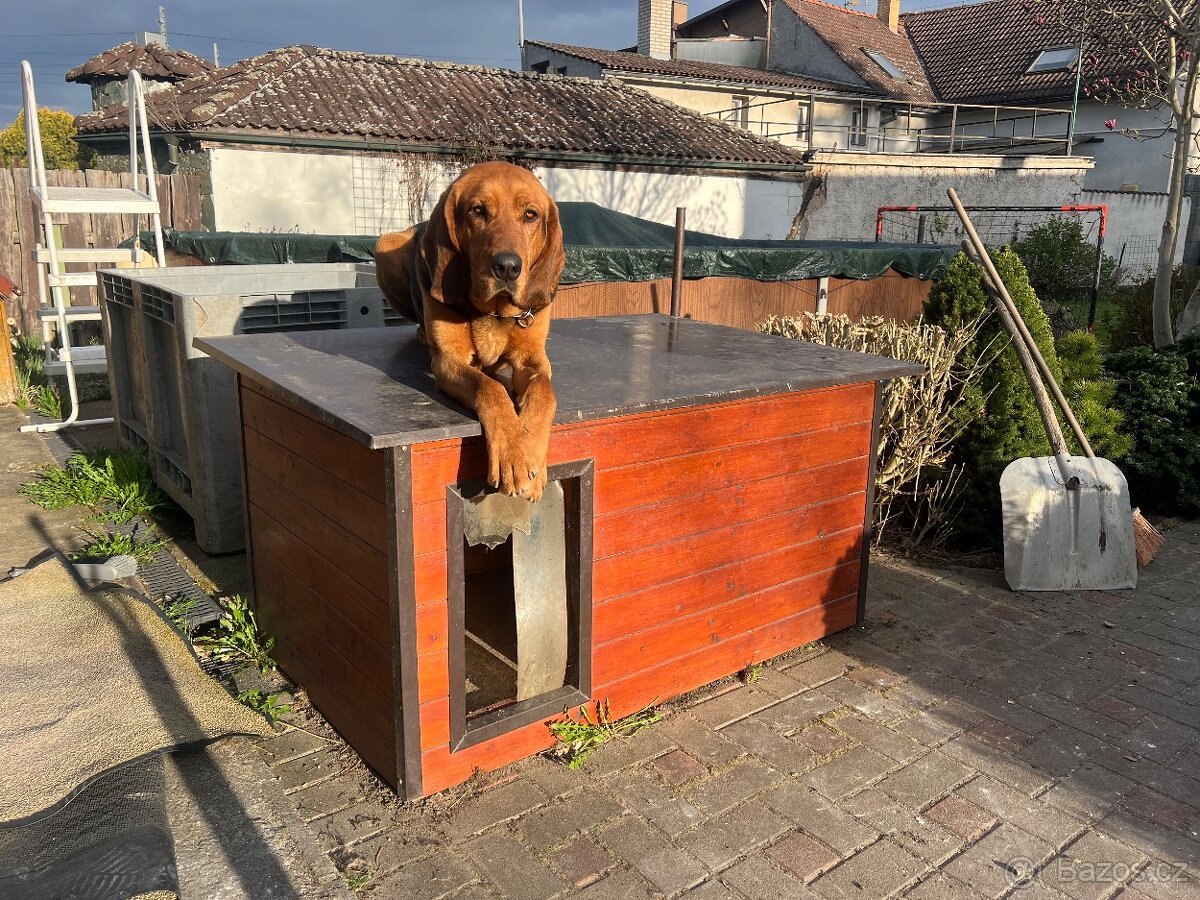 Zateplená psí bouda - 3