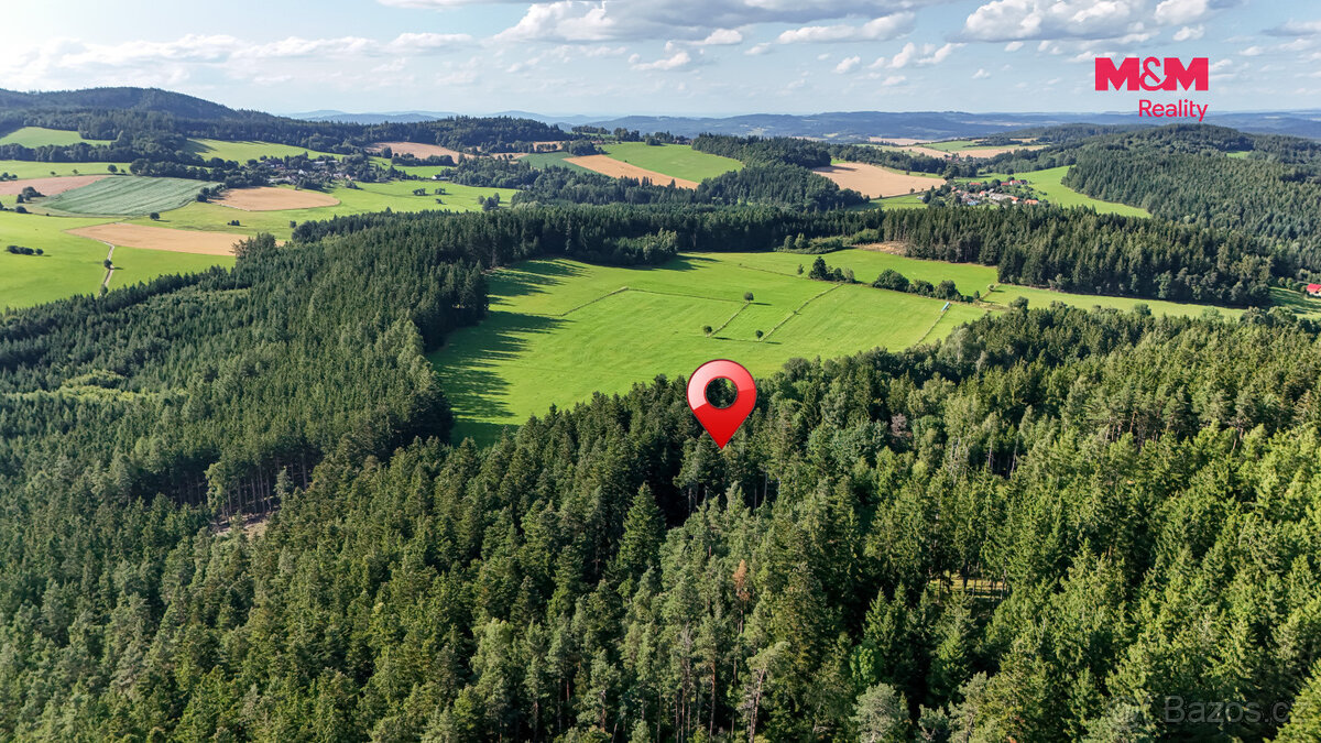Prodej lesa, 15707 m², Petrovice u Sušice - 3