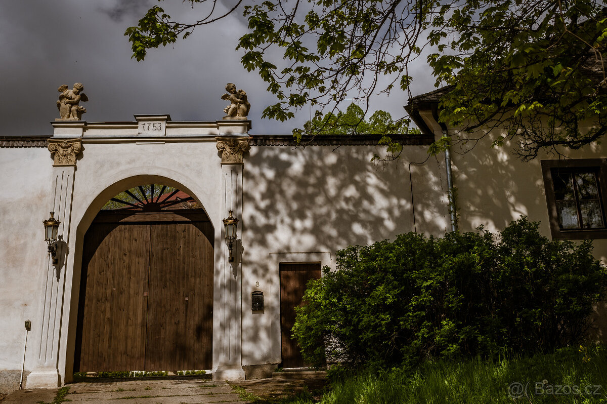 ZÁMEK VIDŽÍN PRONÁJEM - 3