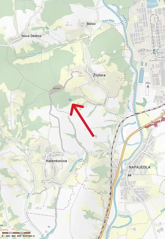 Prodej lesa 6255 m² Žlutava - 3