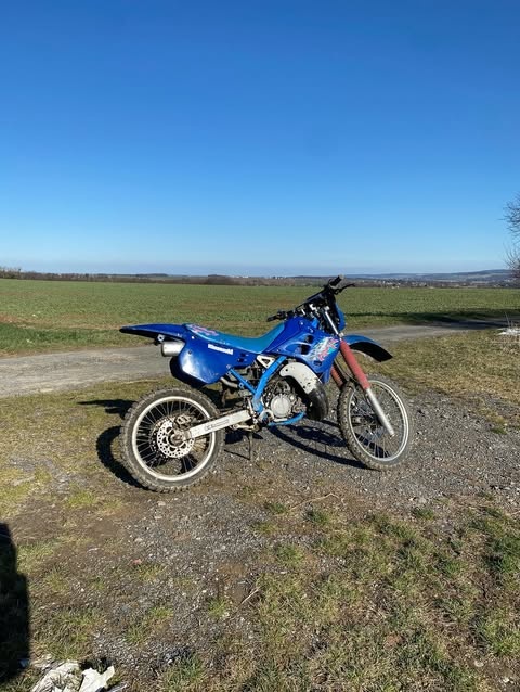 kawasaki kdx 125r