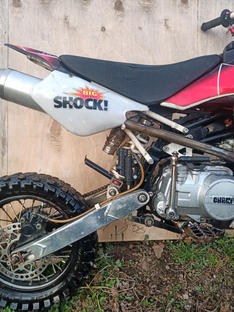 Pitbike champs 125ccm