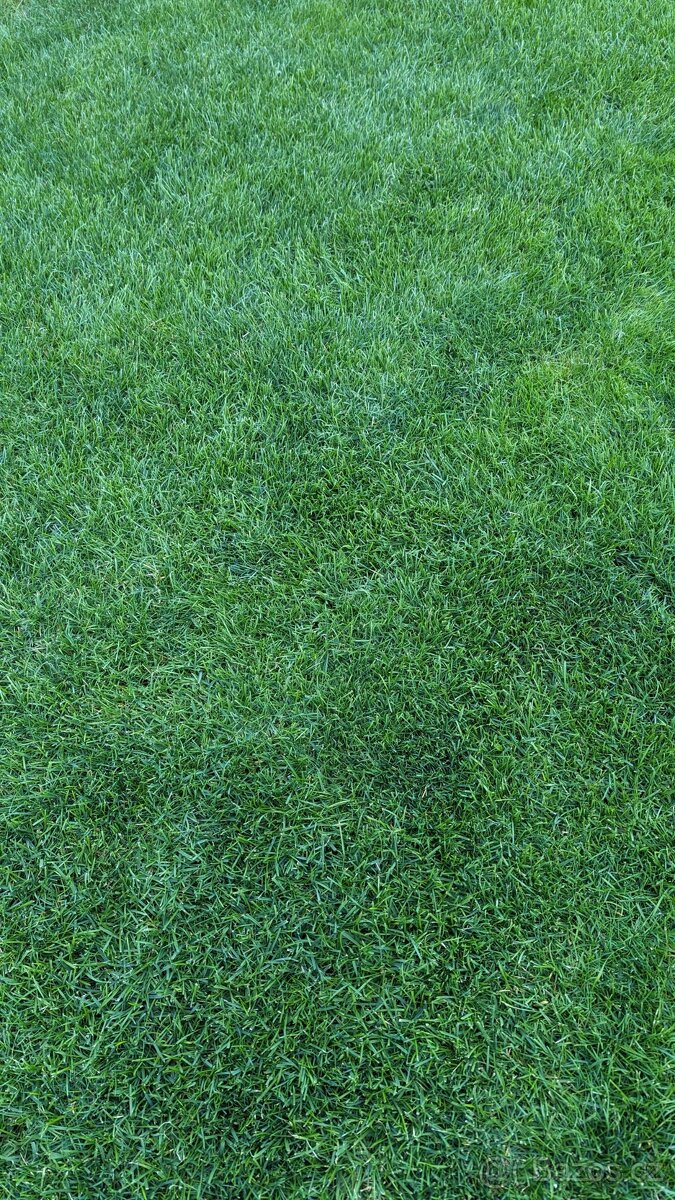 Hnojivo Ledek 15, CN15,5 25kg nebo NPK - 3