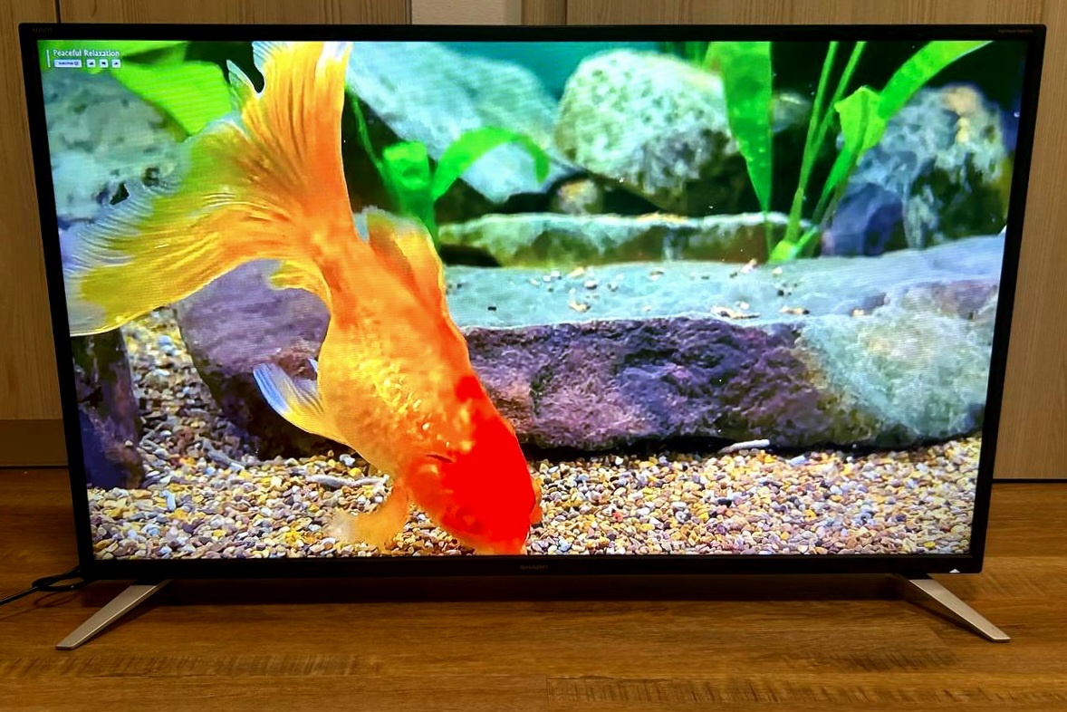 TV Sharp 40BG2E 40"(102sm), Smart, FullHD, WiFi, DVB-T2 - 3