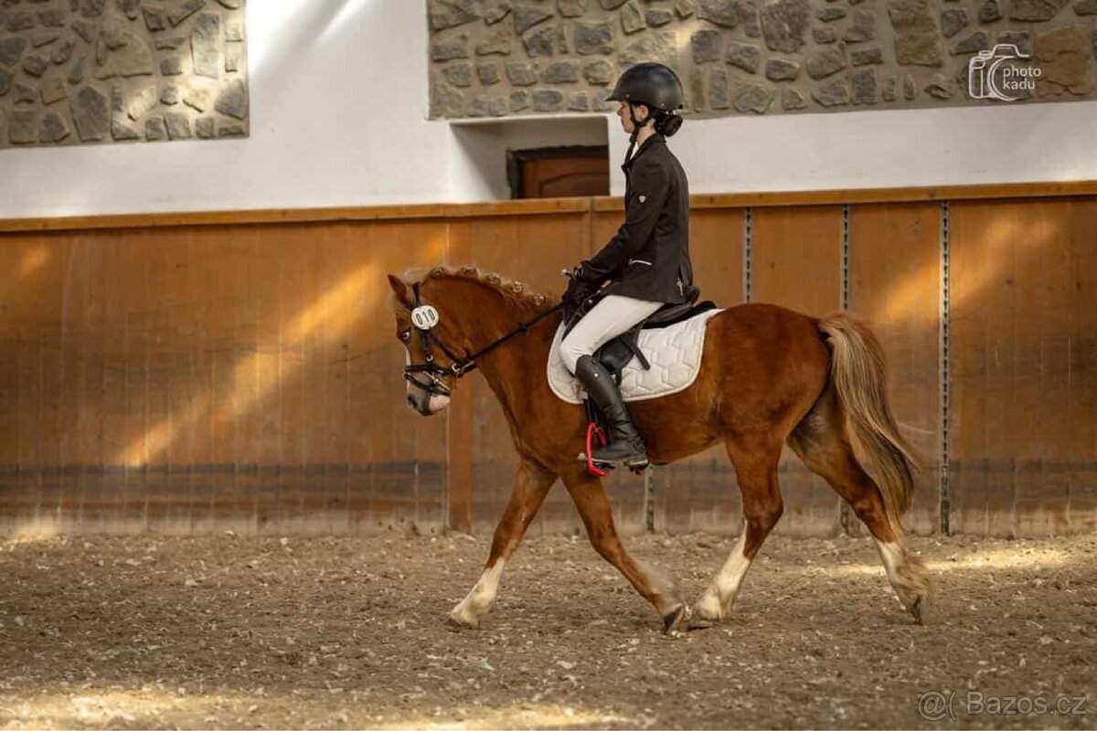 Pony S - 3