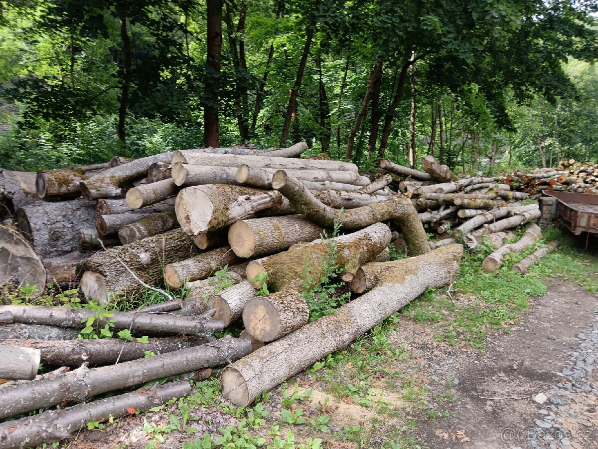 Dřevo na topení - 3