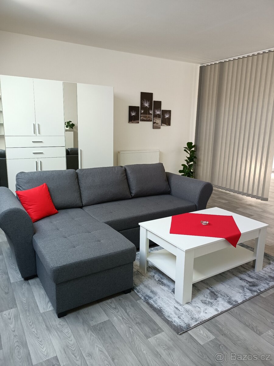 Pronájem velkého bytu 1+kk - 3