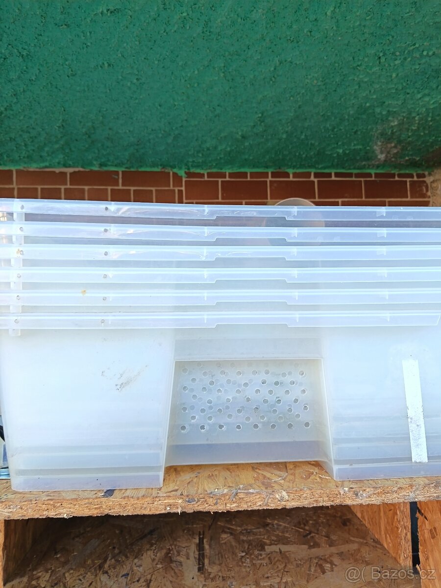 Boxy na chov hadů RACK SYSTÉM - 3