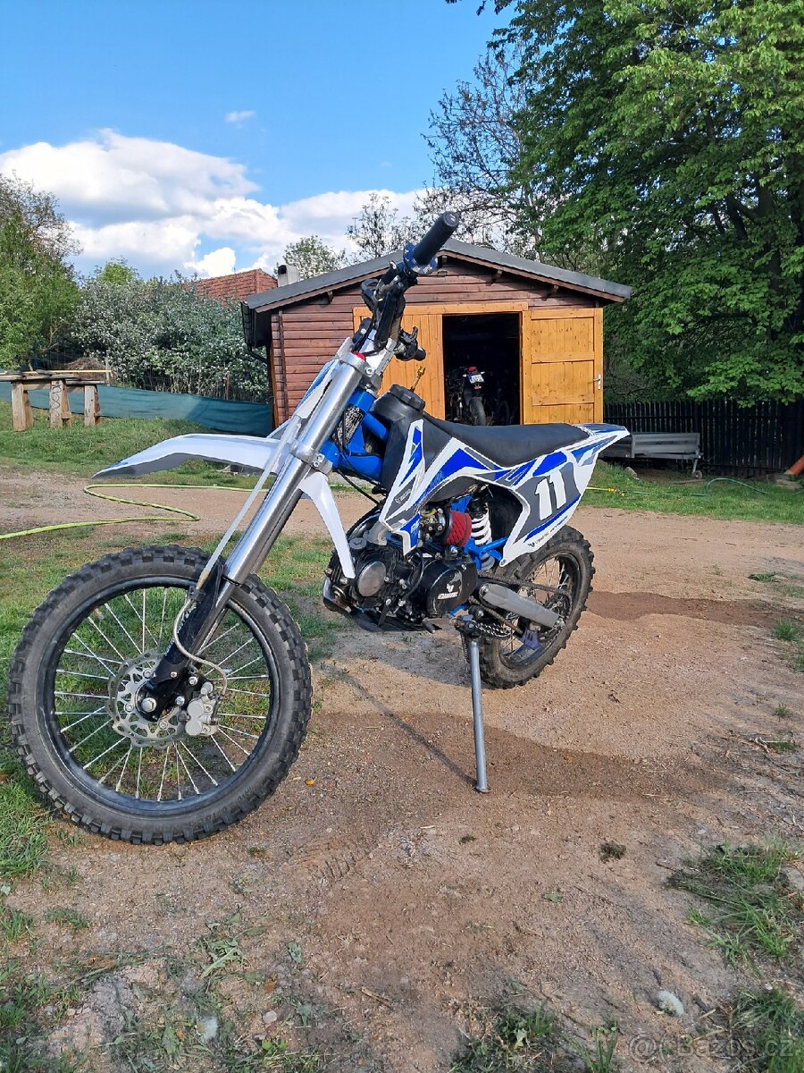 Pitbike Shark 125