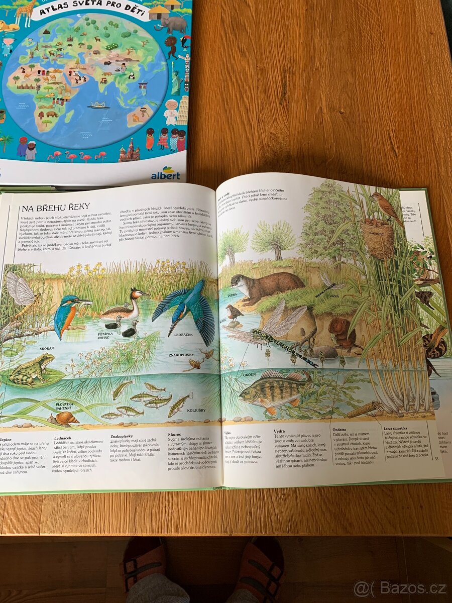 Zvířata a Atlas světa - 3