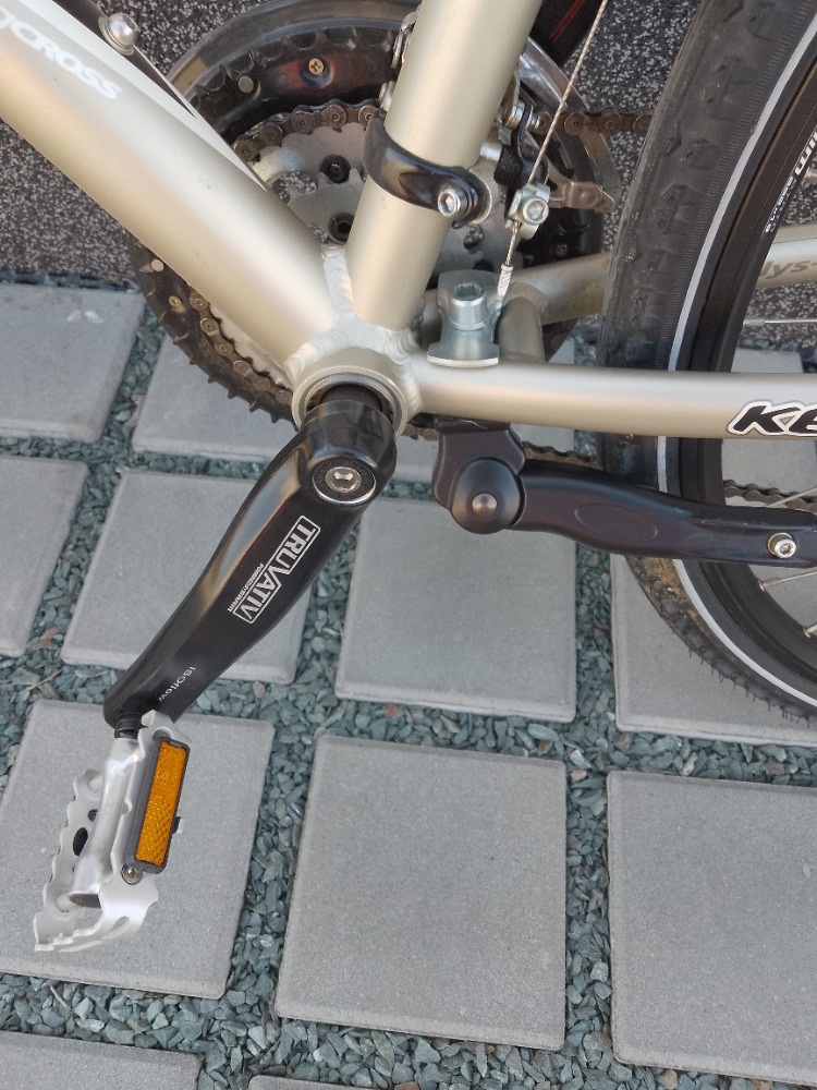 Kellys Exquisite - 3