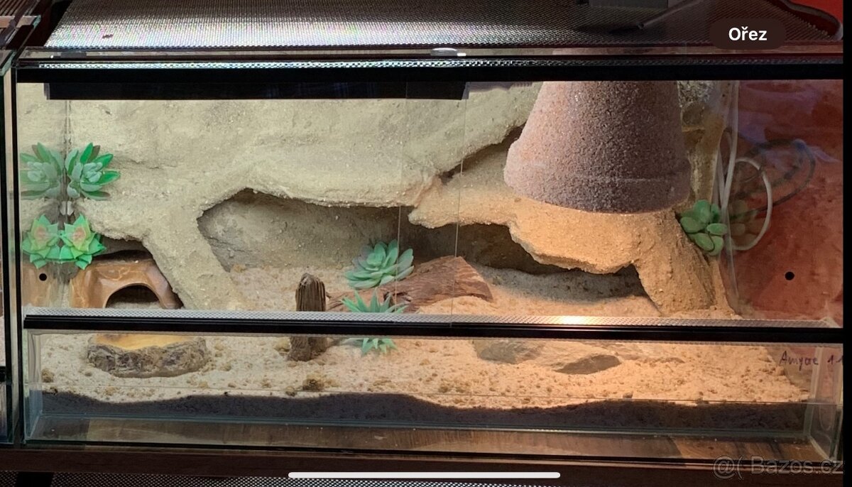 Terárium 60x40x30 s 3D stěnou - 3