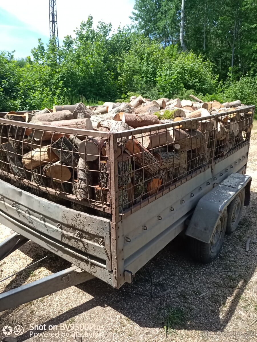 Prodám palivové dřevo suché. - 3