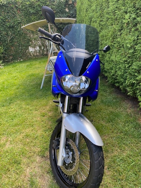 Suzuki XF 650 Freewind