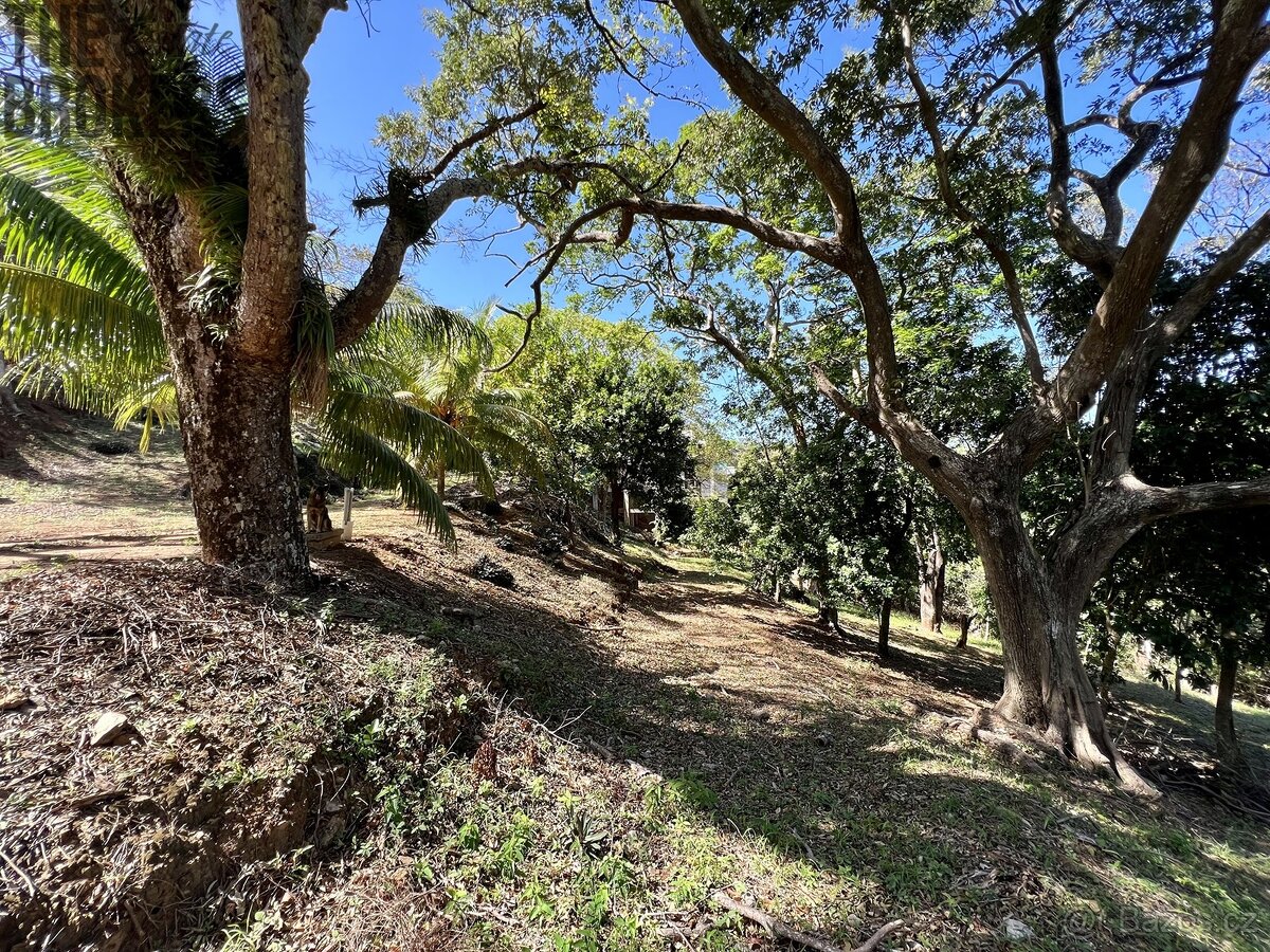 LOT 9 Bodden Bight Estate, Roatan - 3