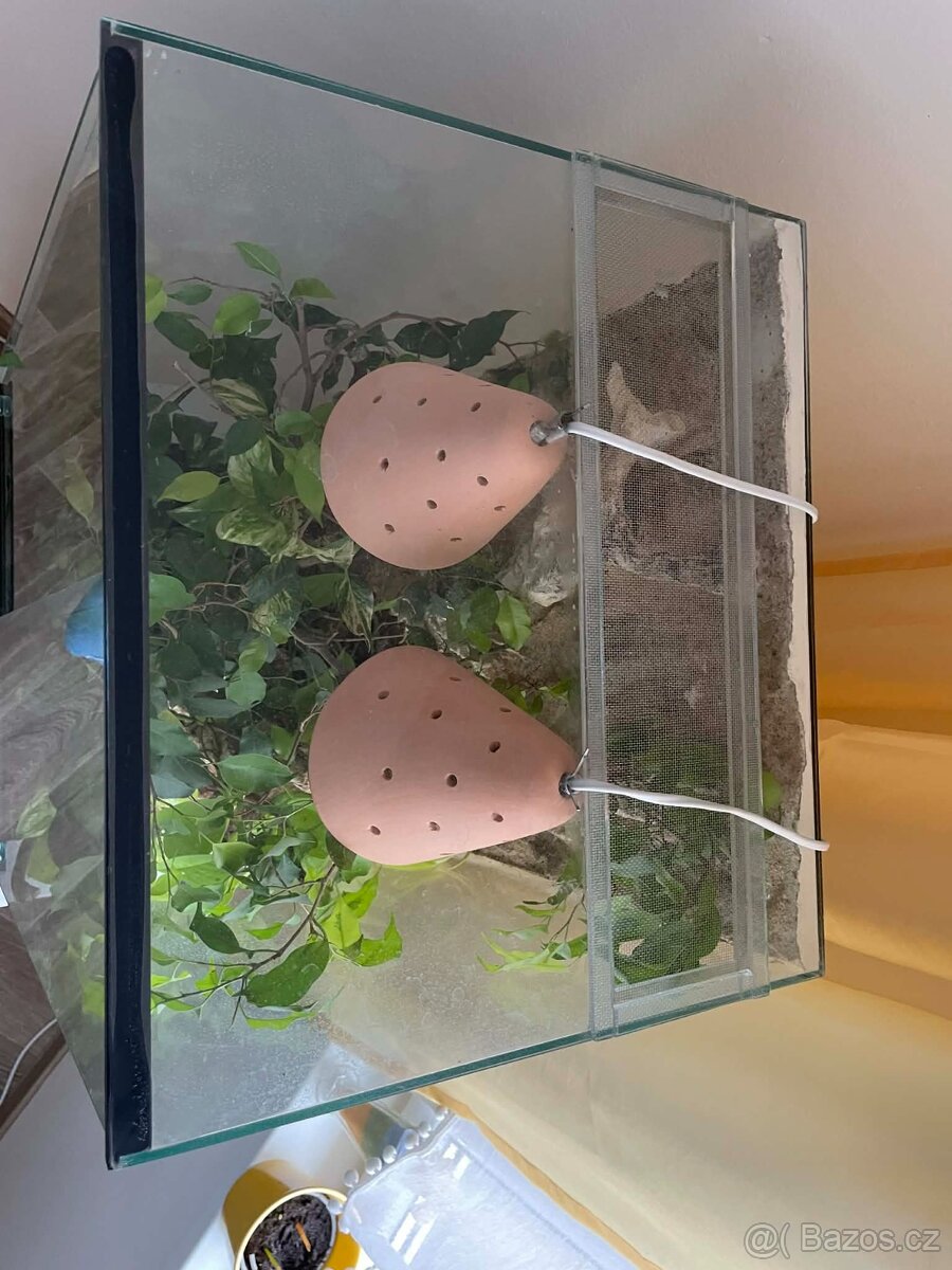 Terárium pro chameleona - 3
