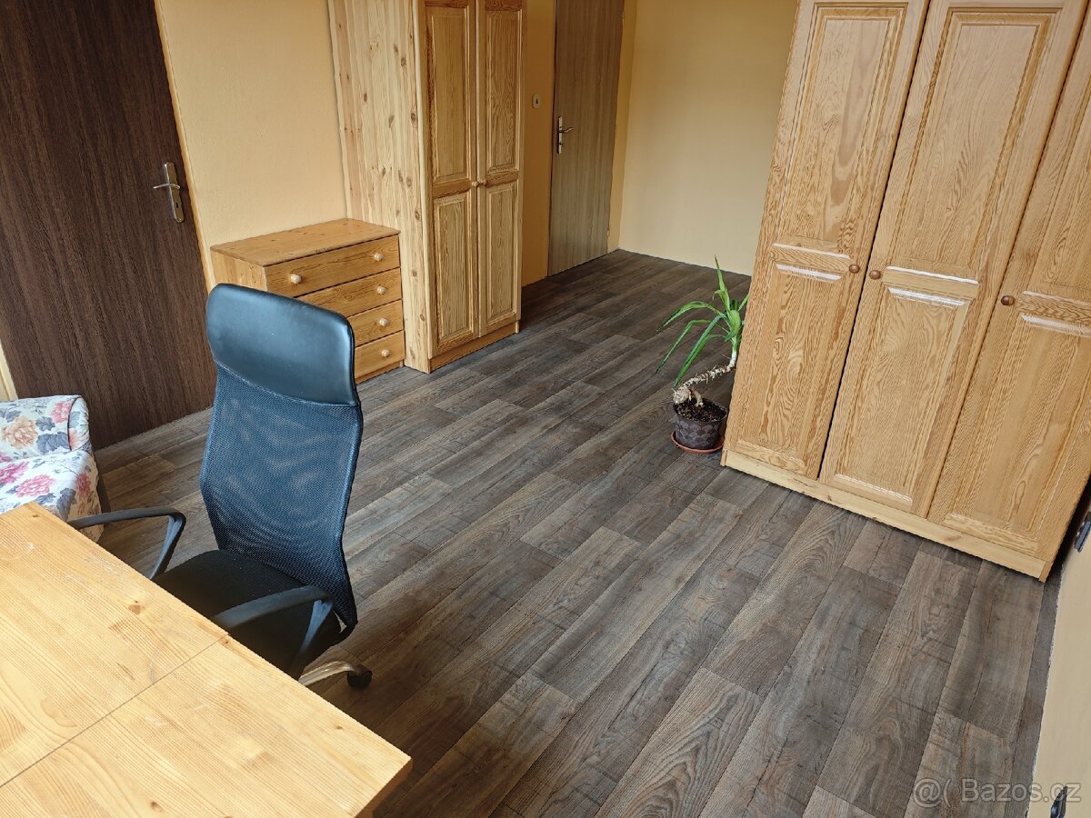 Pronájem 1L pokoje - 3