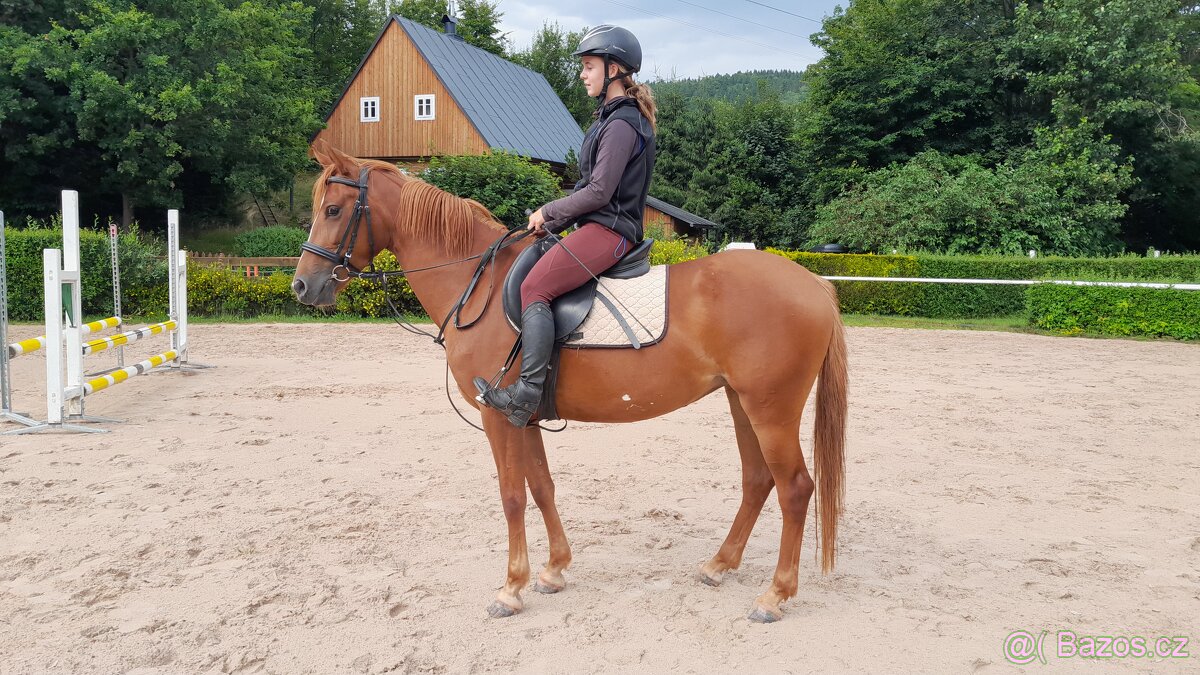 Sportovní Pony - 3
