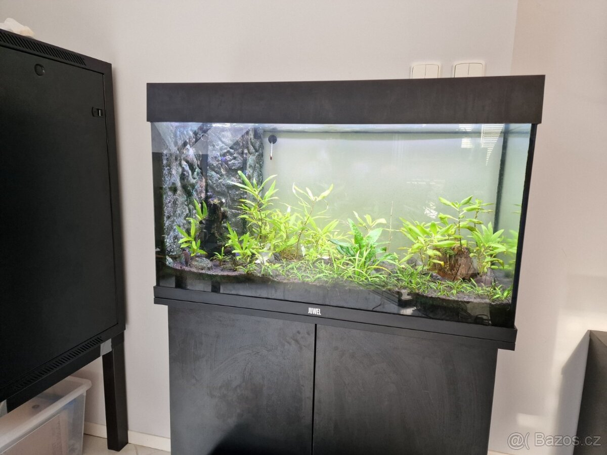 Juwel Rio 125 + Helialux Spectrum RGB + Control - 3