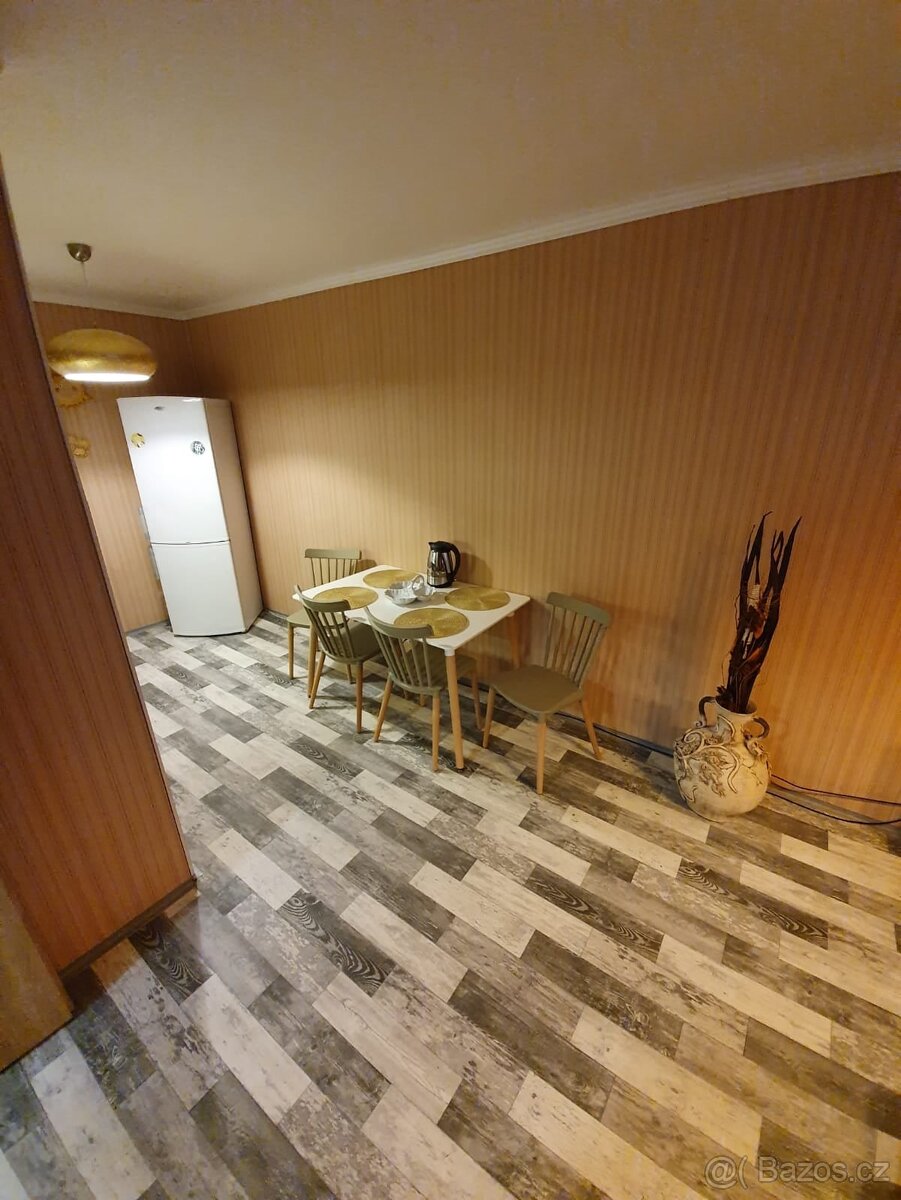 Pronájem bytu Teplice - 3