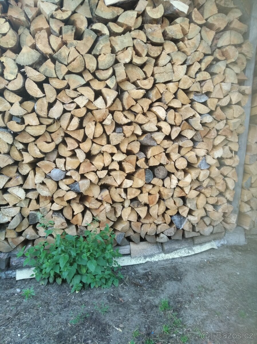 Prodám suché palivové dřevo - 3