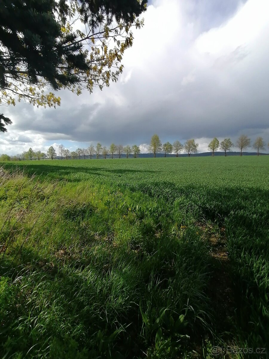 Pozemek v k.ú.Starý Rožmitál - INVESTIČNÍ NEMOVITOST - 3