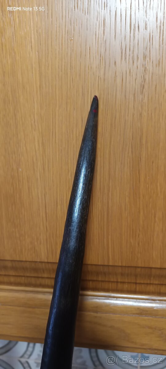 Trofej antilopa Oryx - 3