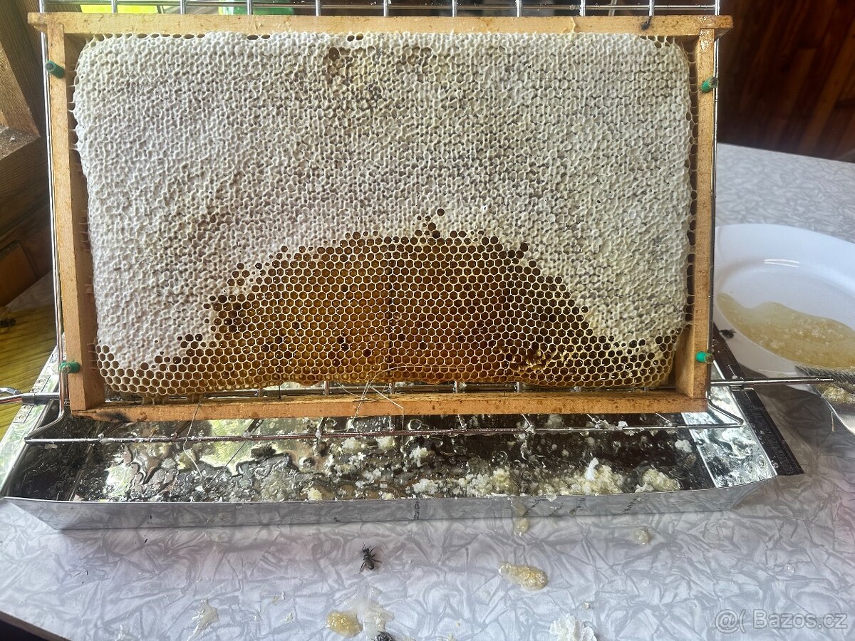Včelí oddělky - 3