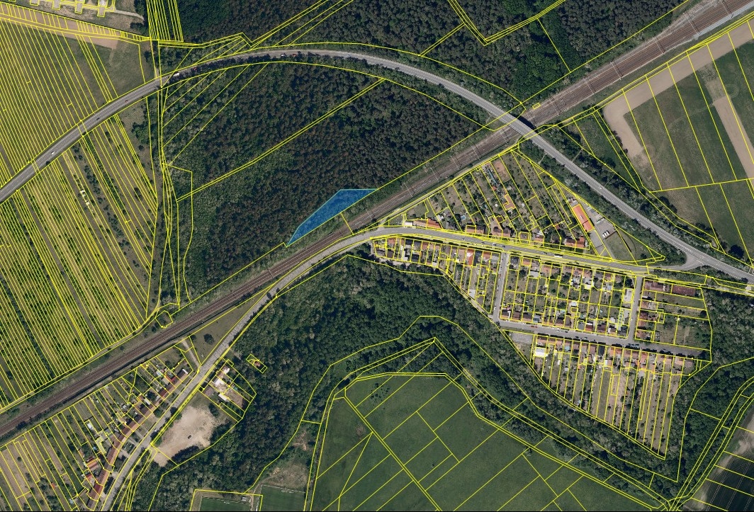 Prodej akátového lesa – 2 449 m2 – Rohatec - 3