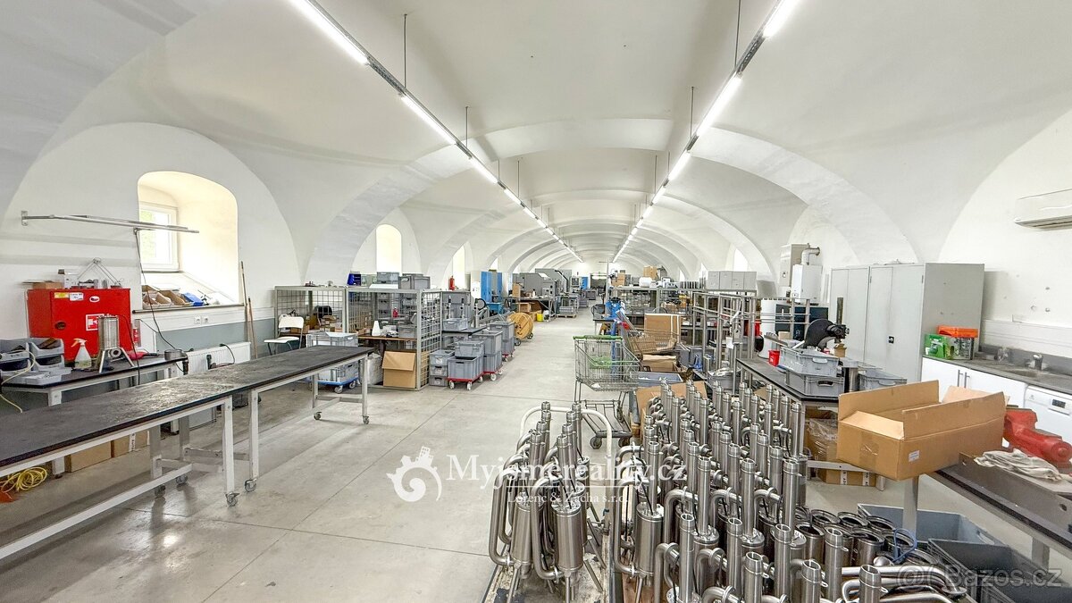 Prodej výrobního prostoru 2 425 m², Tavíkovice, okr. Znojmo - 3