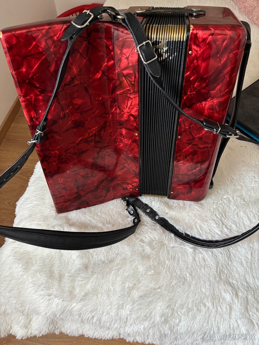 Prodám Akordeon - 3