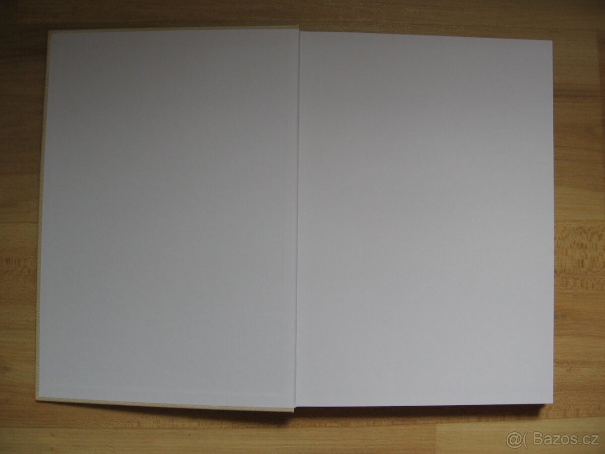 Generál Maurice Pellé - Radko Břach - 3