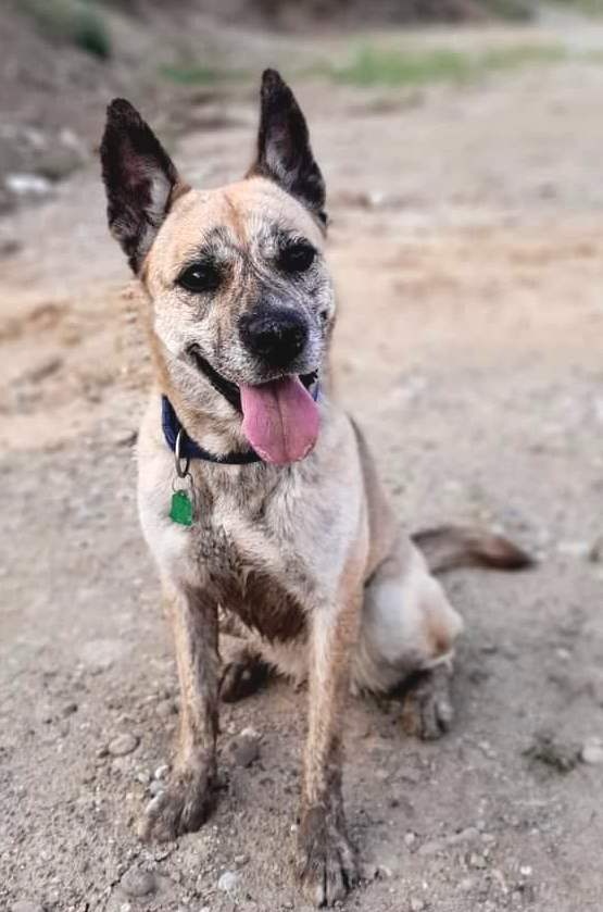 Evelyn hledá domov - 3