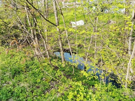 Stavební pozemek Kunčice pod Ondřejníkem, 1550m2 nebo 1980m2 - 3